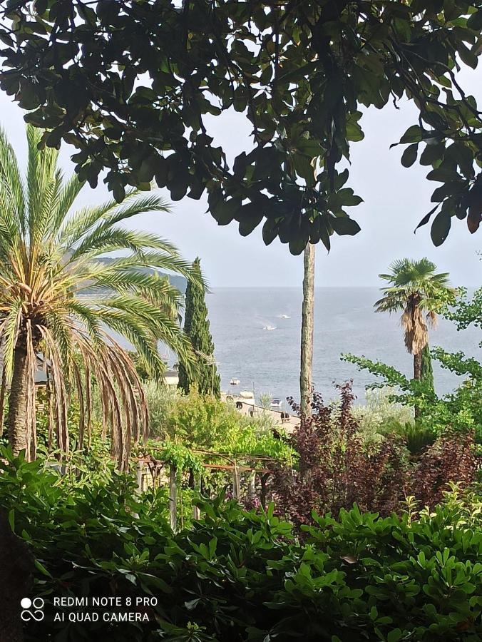 Apartment Cepic Herceg Novi Eksteriør bilde