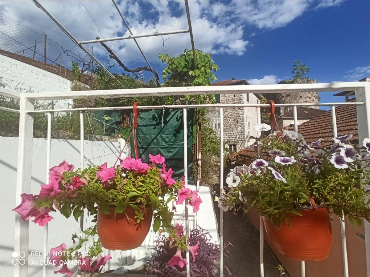 Apartment Cepic Herceg Novi Eksteriør bilde